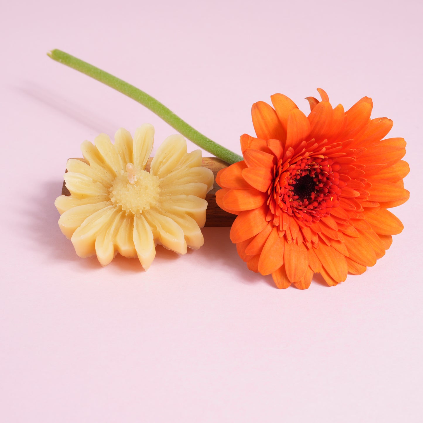 Beeswax calendula candle with flower