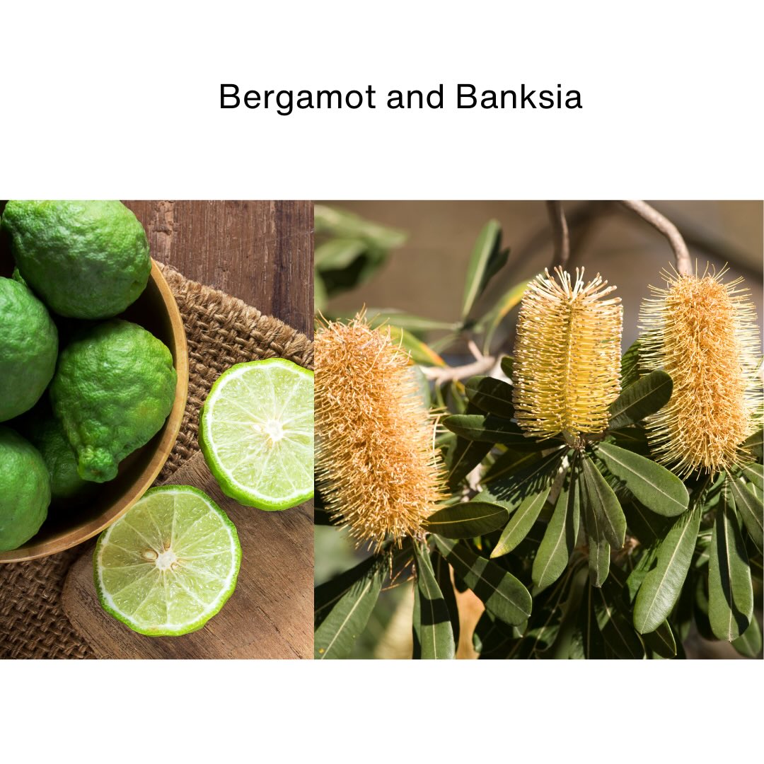 Bergamot & Banksia Soy Candle Travel Tin