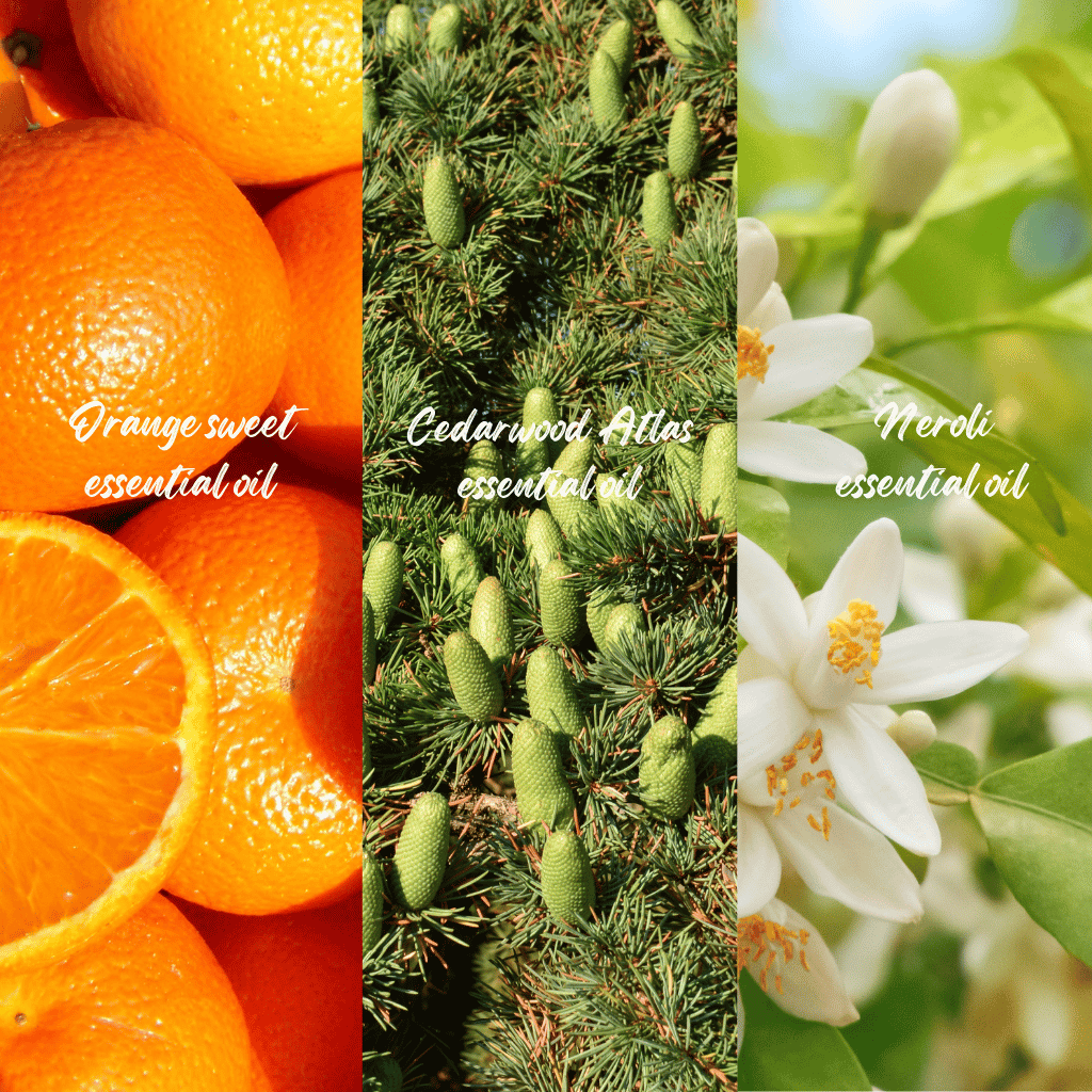 Calm blend of essential oils is Orange Sweet, Cedarwood Atlas and Neroli