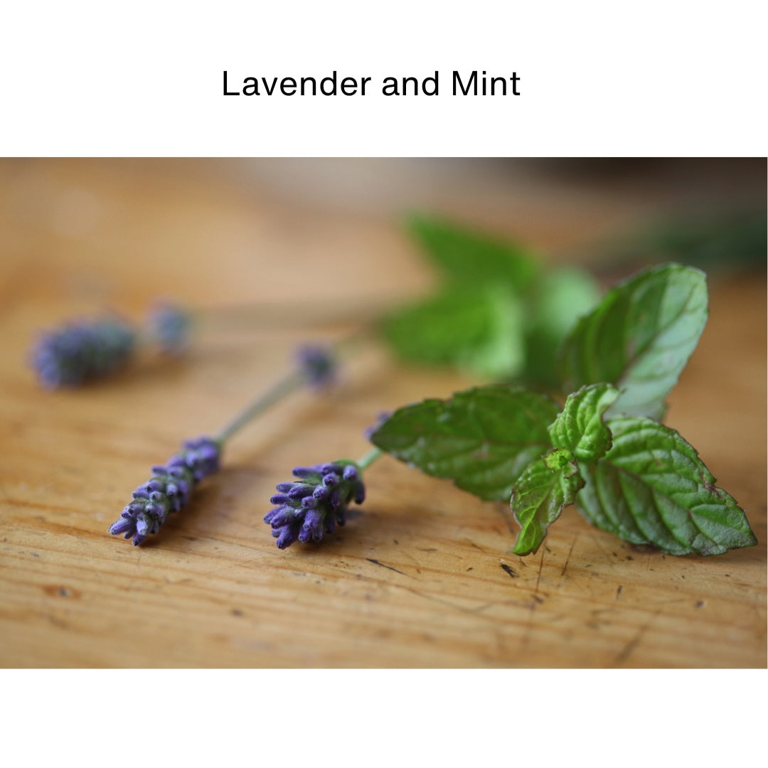 Lavender & Mint Soy Candle Travel Tin