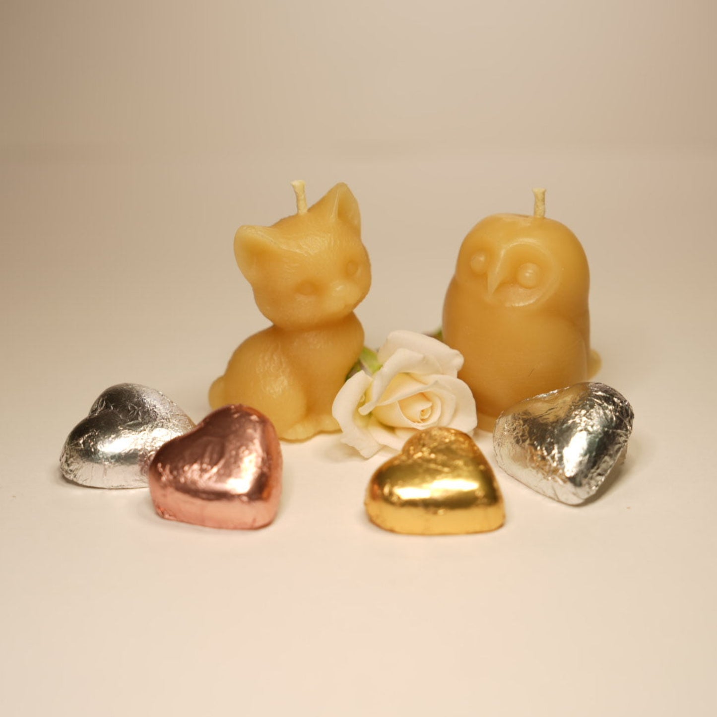 Owl and the Pussy-cat with a rose and chocolates