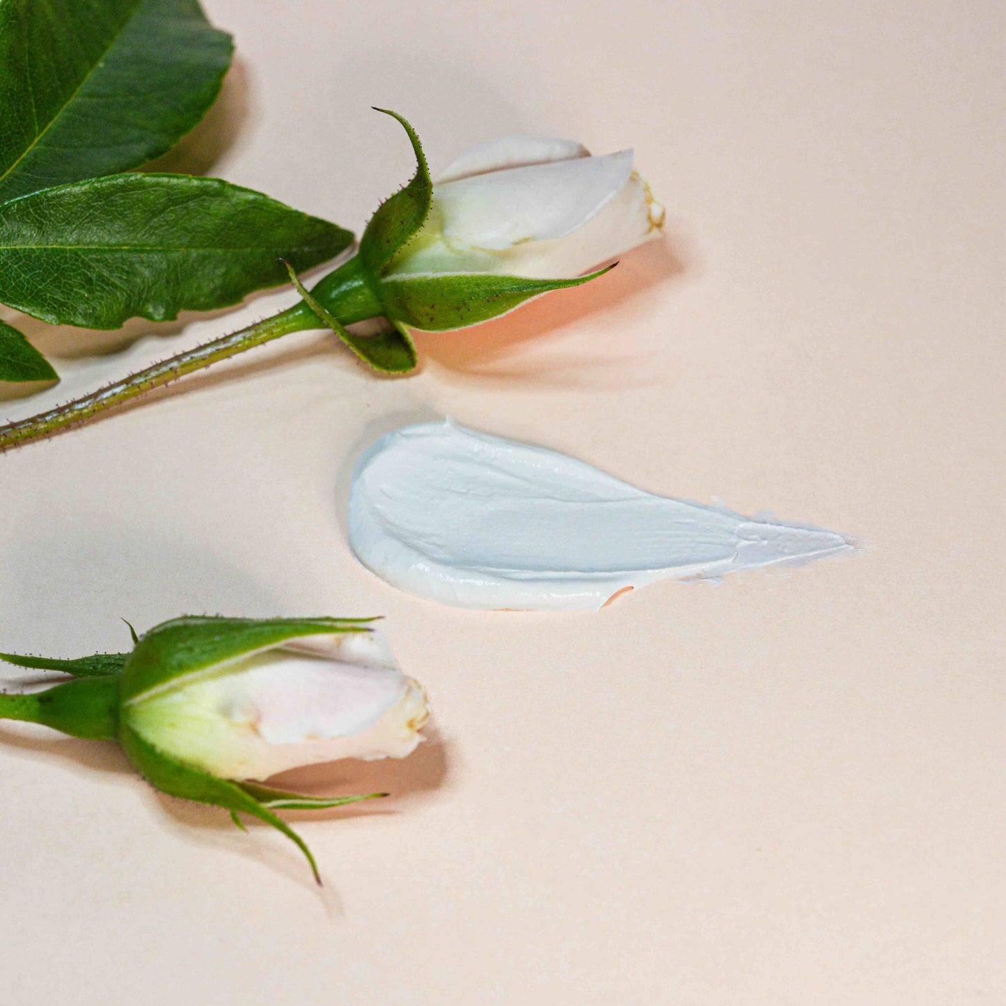 Roses in blossom face mask splash