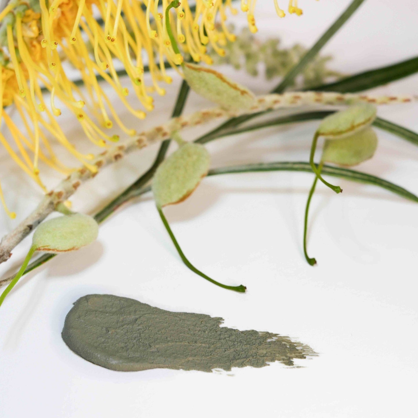 Splash of Tea Tree Oil Face Mask with native blossom