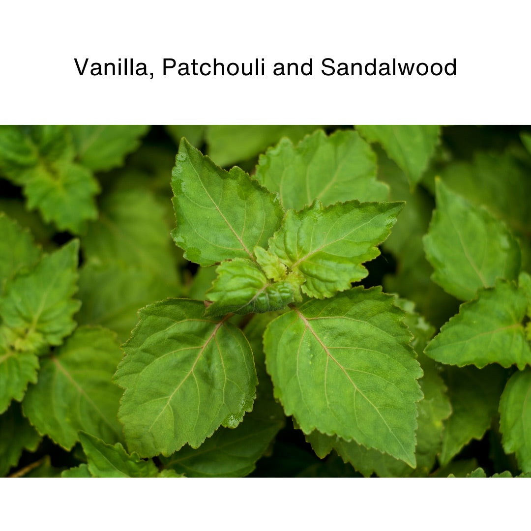 Sandalwood, Vanilla & Patchouli Soy Candle Travel Tin