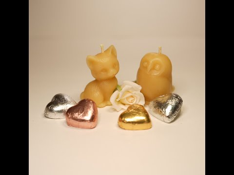 The Owl and the Pussy-cat wedding where all the guests have come together to watch the event unfold.