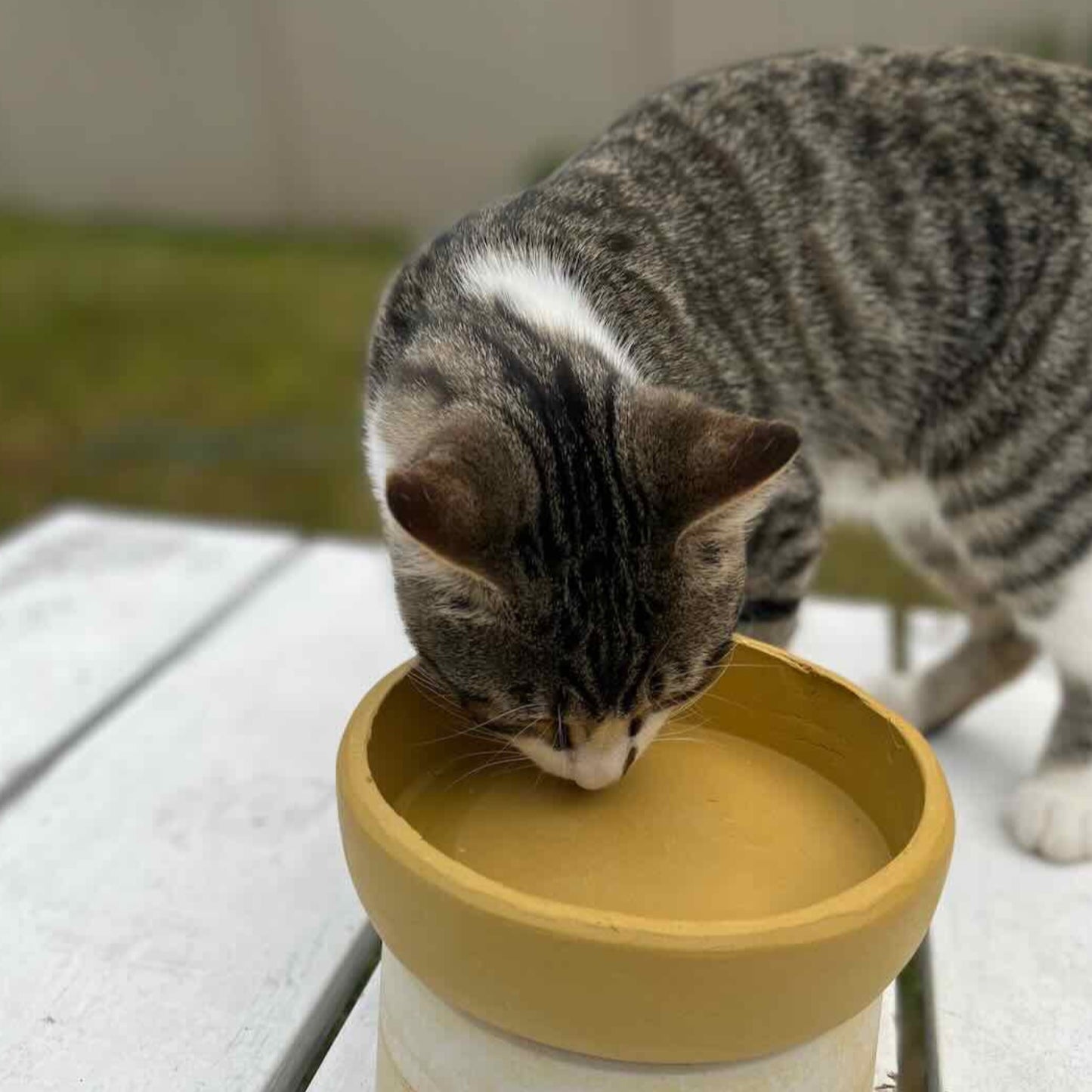 Billy having a drink from his test run bowl before it has been glazed.