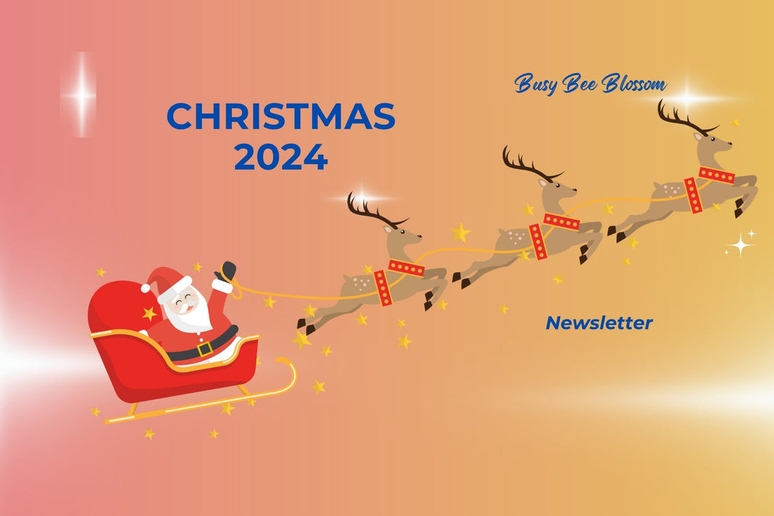 Busy Bee Blossom Christmas 2024 Newsletter