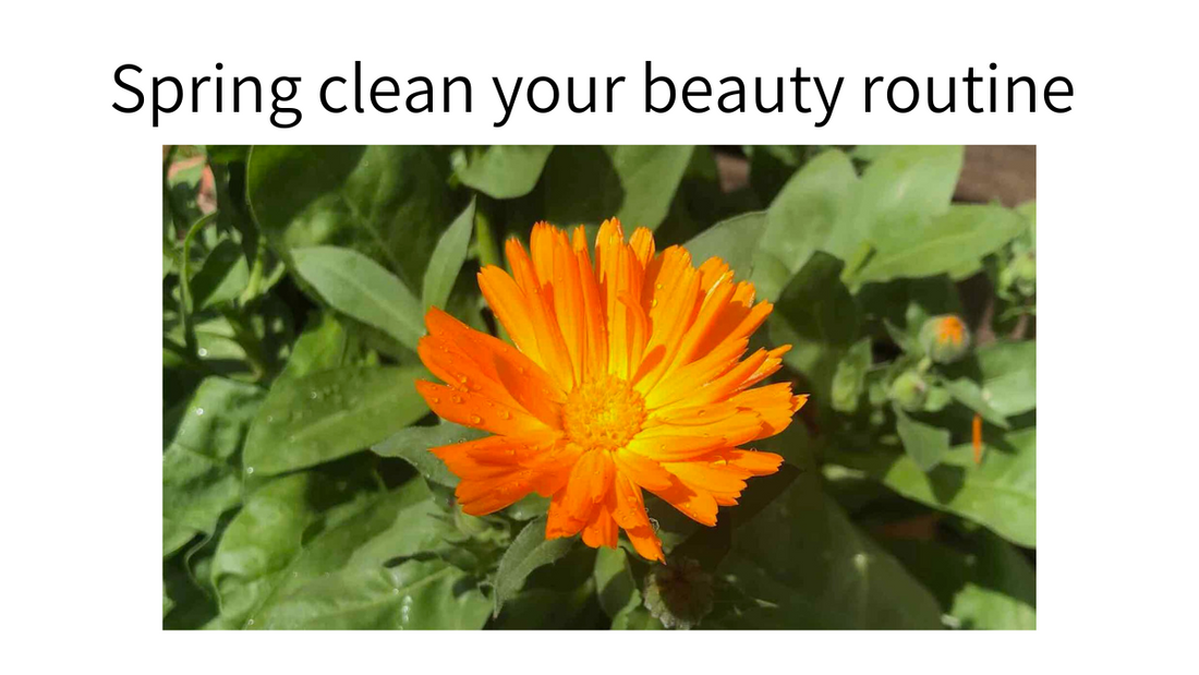 Spring clean your beauty routine with calendula flower. My blog post about handmade Cleansing Bar Soaps made with organic botanical oils. 
