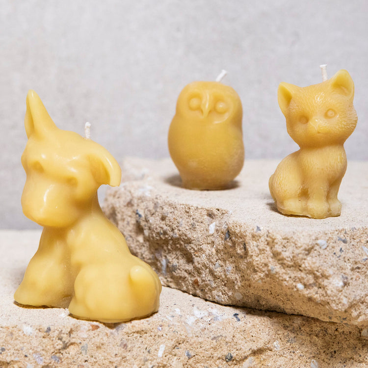 Beeswax decorative candle collection