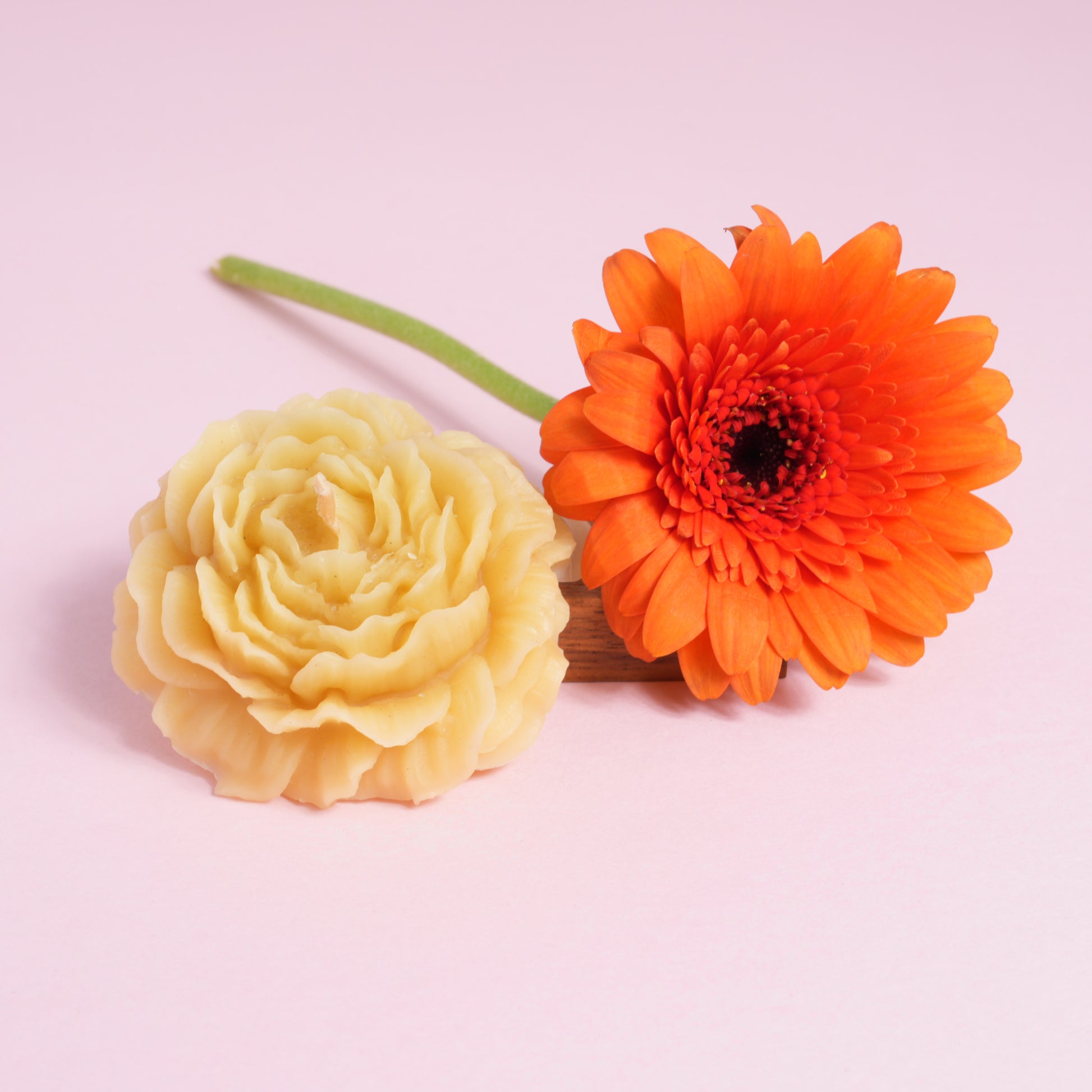 Beeswax botanical candle in camellia design with flower