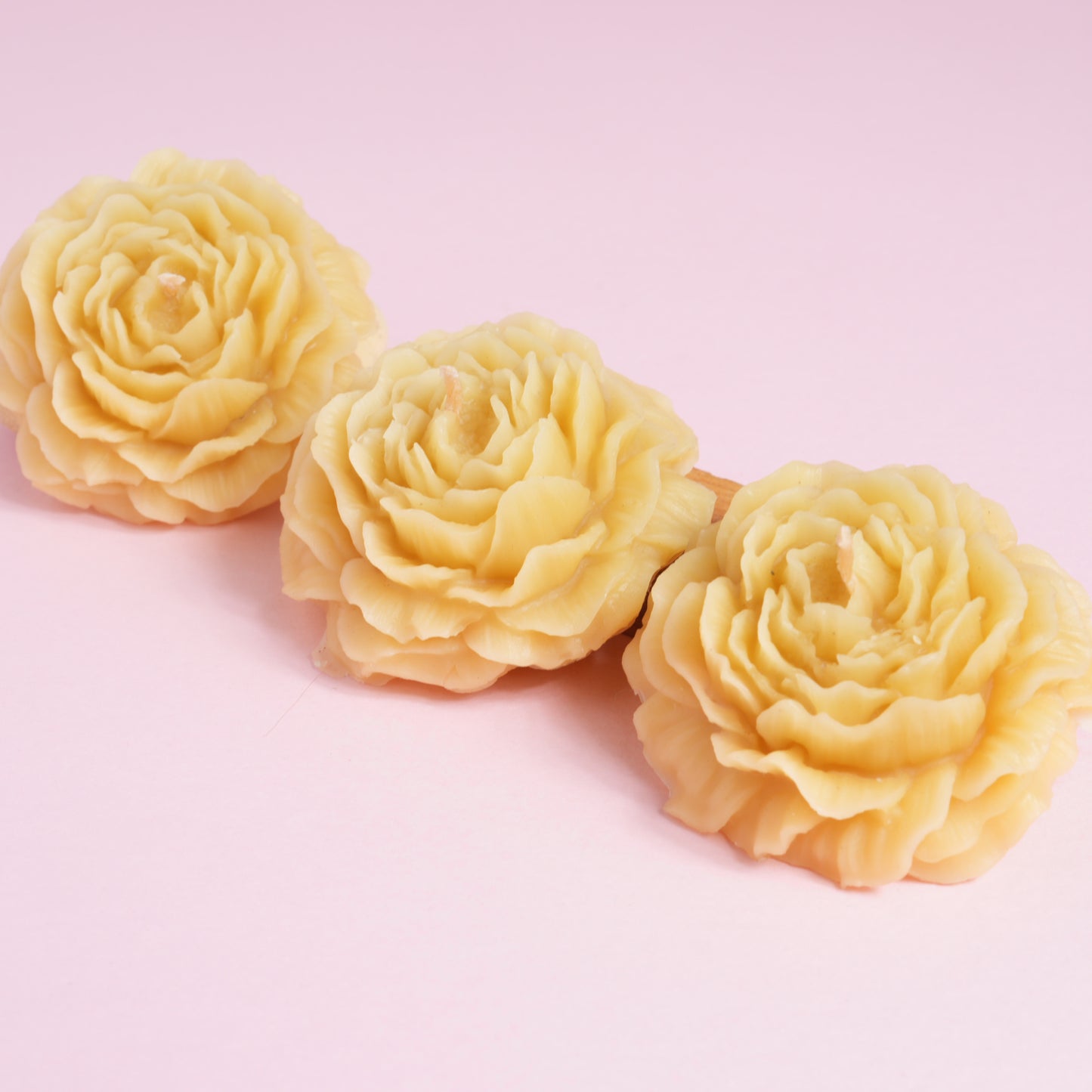 A selection of 3 beeswax botanical candles in camellia shape design