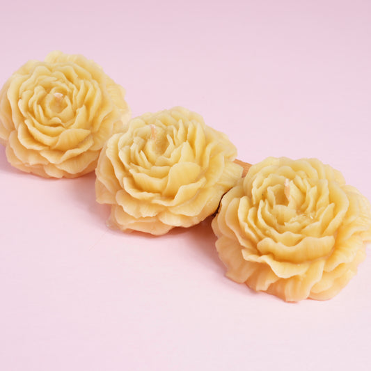 A selection of 3 beeswax botanical candles in camellia shape design
