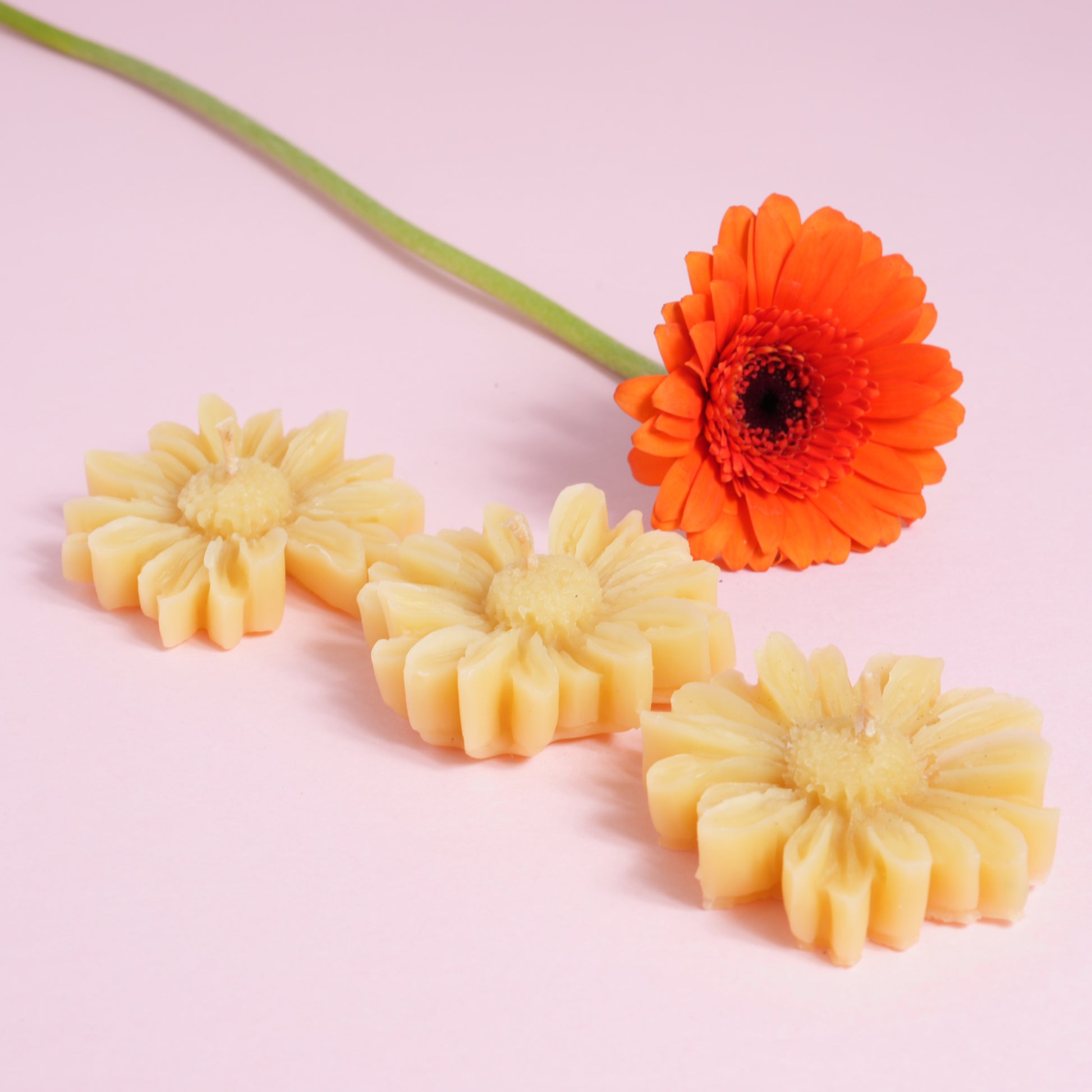 Beeswax calendula candles with a flower