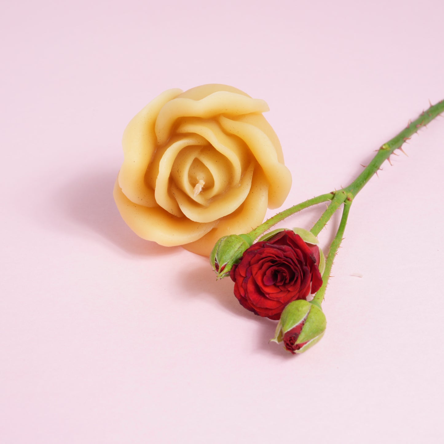 One beeswax candle in rose shape with a rose stem.