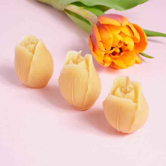 Three beeswax tulip flower candles with a tulip
