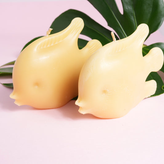 Angel Fish beeswax decorative candle