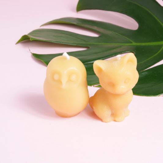 Beeswax decorative candles in Owl and the Pussycat