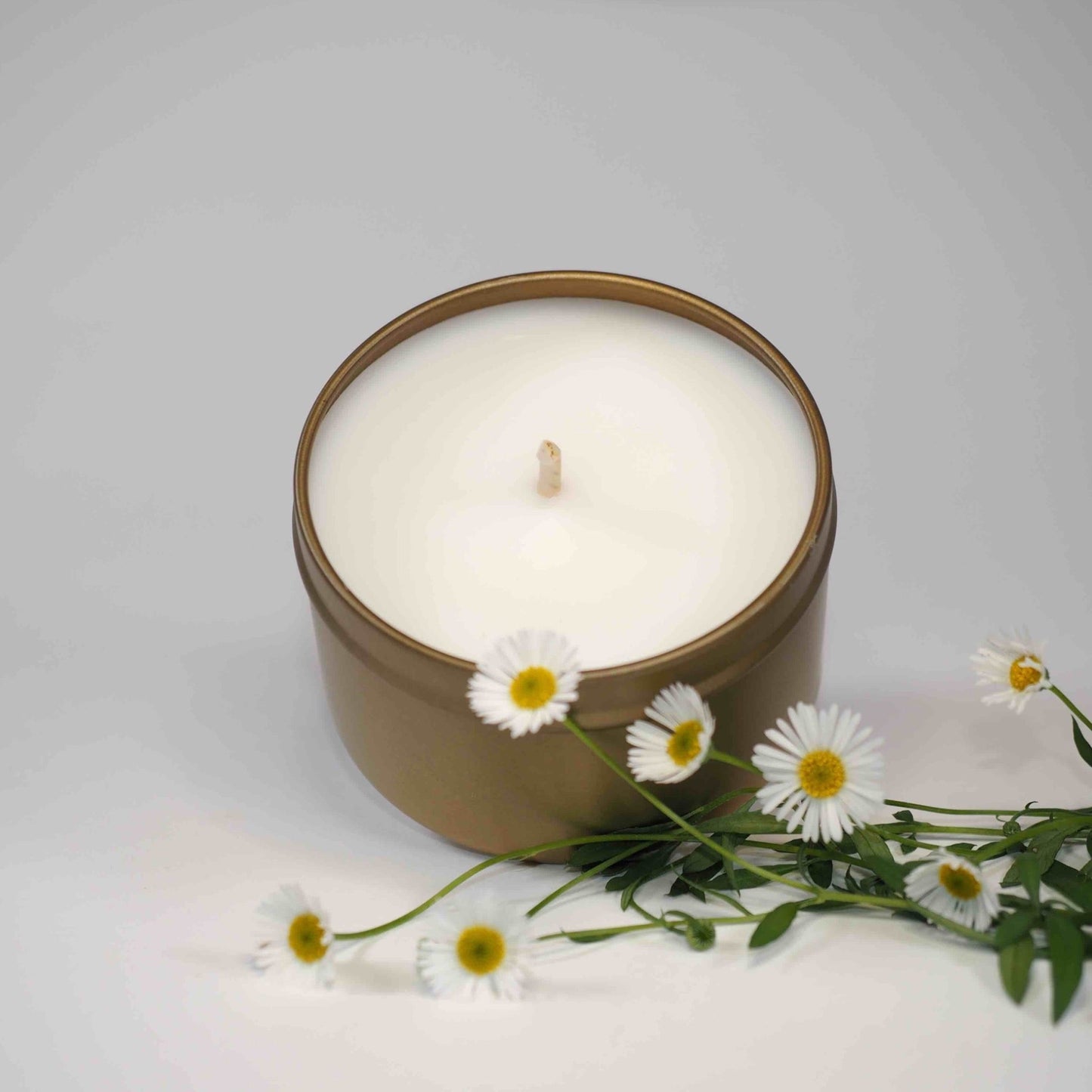 Australian gold travel tin candle open with daisies