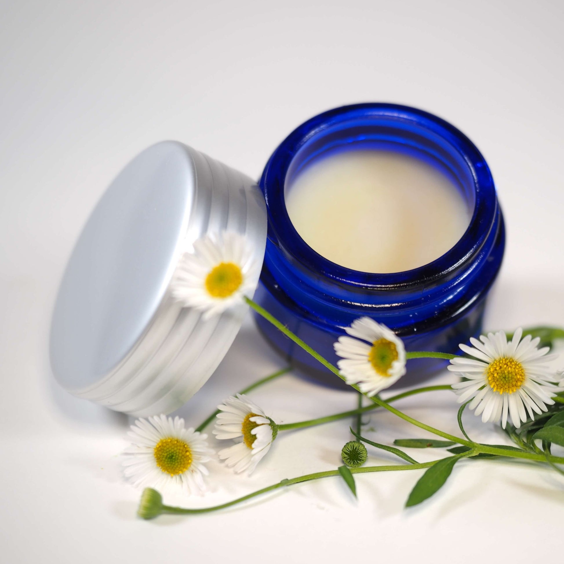 Honey Argan Lip Balm open with lid and daisies
