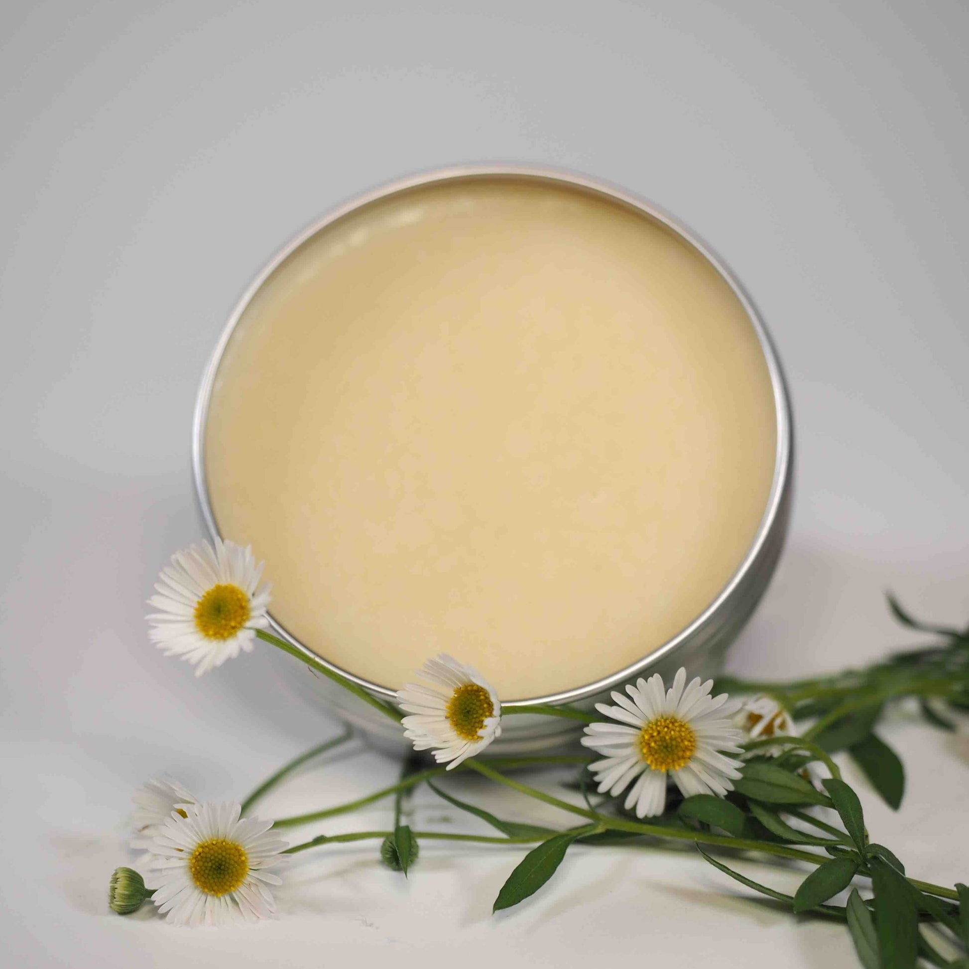 Buttery and smooth Organic Lavender Tattoo Balm shown in open tin with flower